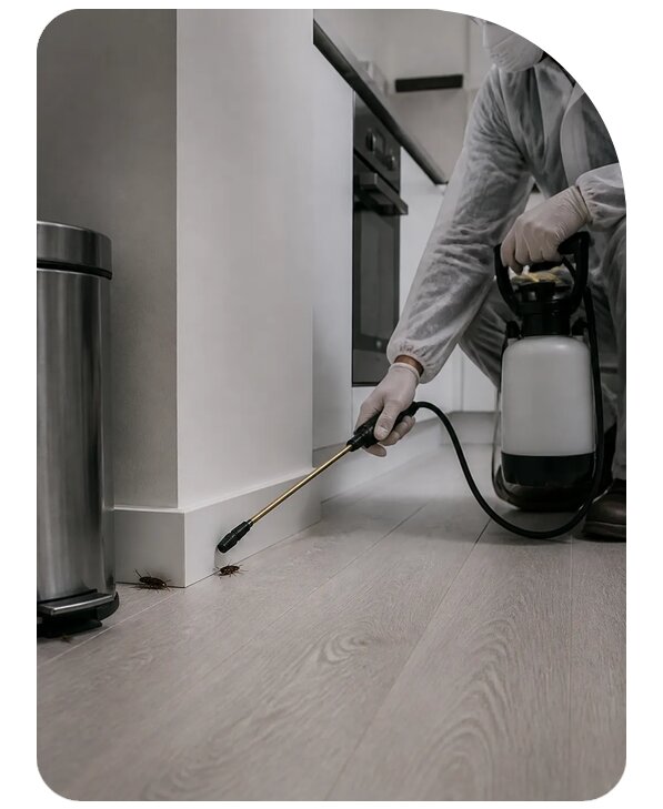 Обработка дома от тараканов в Калуге по цене от 4551 р. | Сенат-Клг